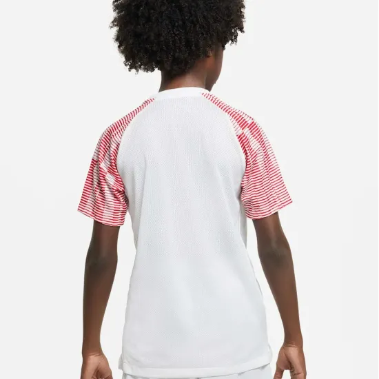 Футболка Nike Dri-FIT Academy DH8369-100