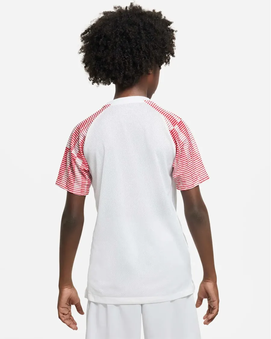 Футболка Nike Dri-FIT Academy DH8369-100