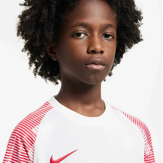 Футболка Nike Dri-FIT Academy DH8369-100