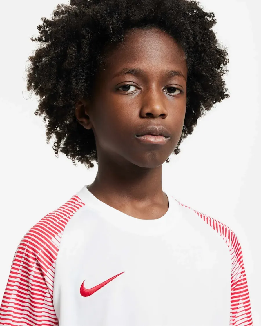 Футболка Nike Dri-FIT Academy DH8369-100