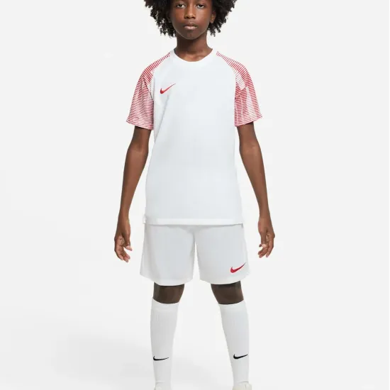 Футболка Nike Dri-FIT Academy DH8369-100