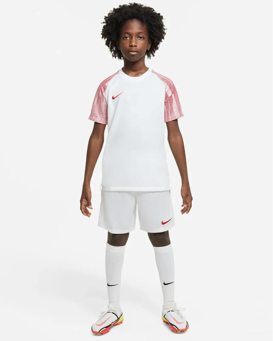 Футболка Nike Dri-FIT Academy DH8369-100