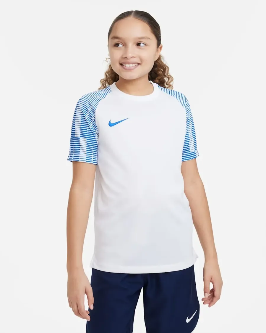 Футболка Nike Dri-FIT Academy DH8369-102