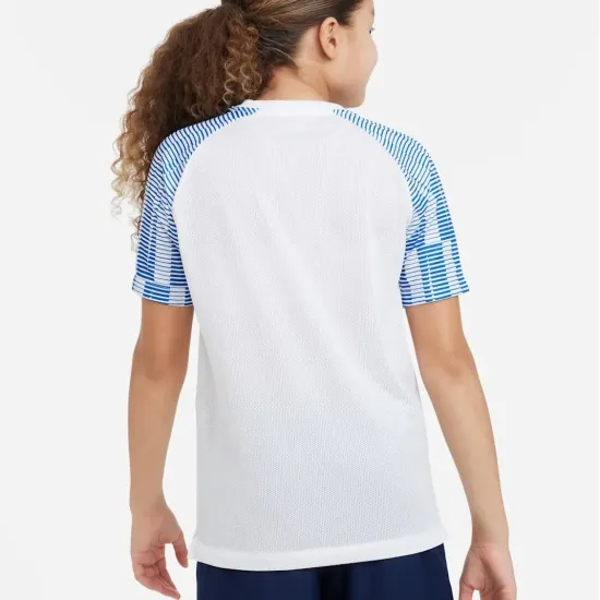 Футболка Nike Dri-FIT Academy DH8369-102