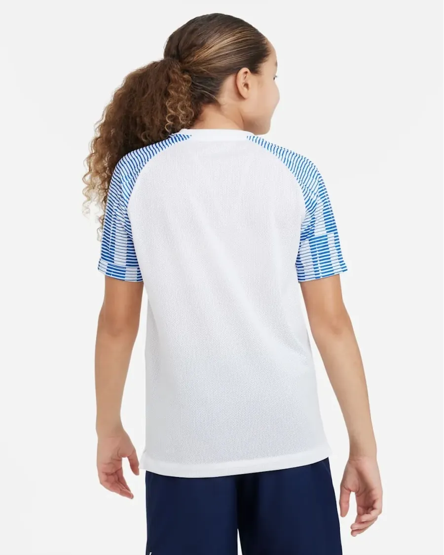 Футболка Nike Dri-FIT Academy DH8369-102