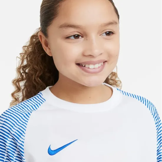 Футболка Nike Dri-FIT Academy DH8369-102