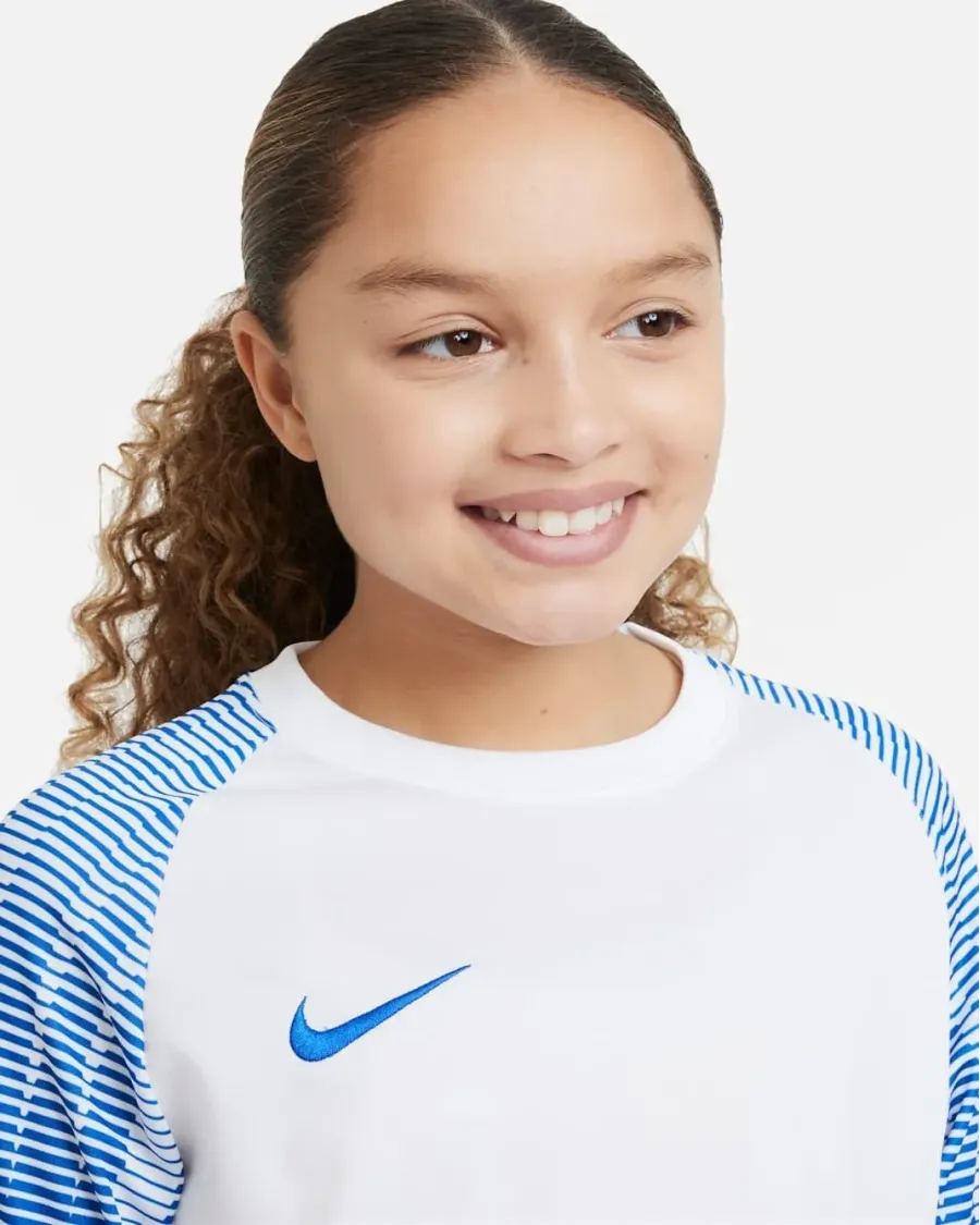 Футболка Nike Dri-FIT Academy DH8369-102