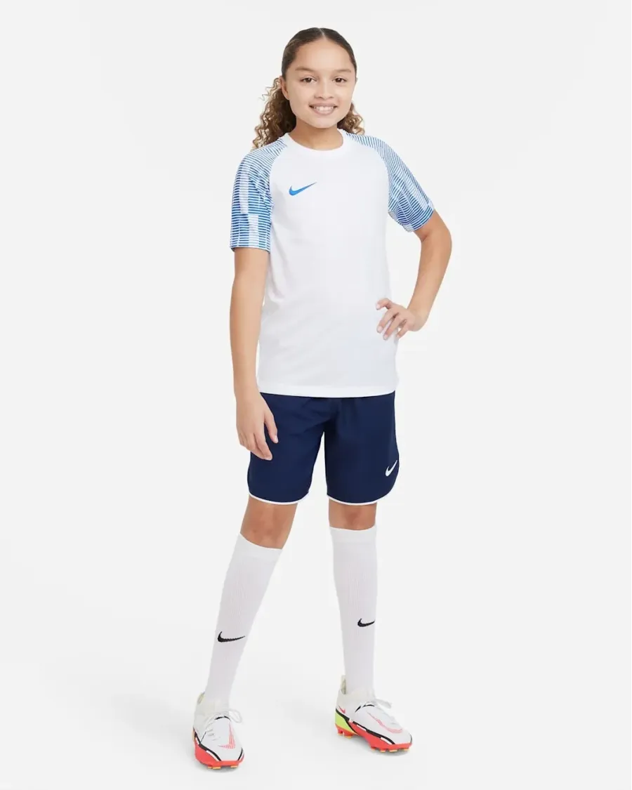 Футболка Nike Dri-FIT Academy DH8369-102