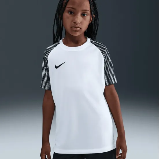 Футболка Nike Dri-FIT Academy DH8369-104
