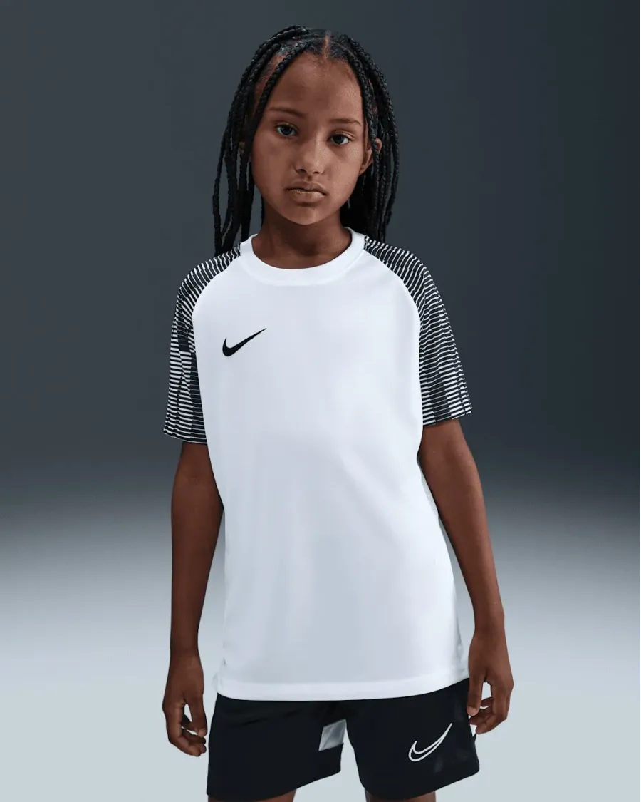 Футболка Nike Dri-FIT Academy DH8369-104