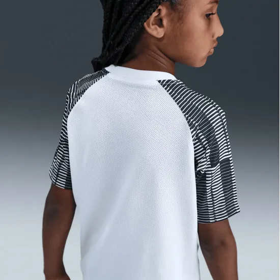 Футболка Nike Dri-FIT Academy DH8369-104