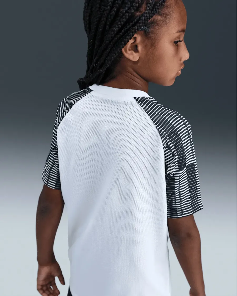 Футболка Nike Dri-FIT Academy DH8369-104
