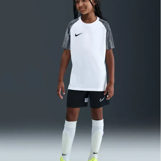 Футболка Nike Dri-FIT Academy DH8369-104