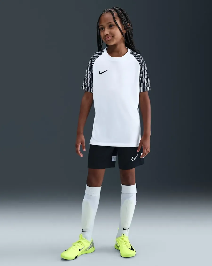 Футболка Nike Dri-FIT Academy DH8369-104