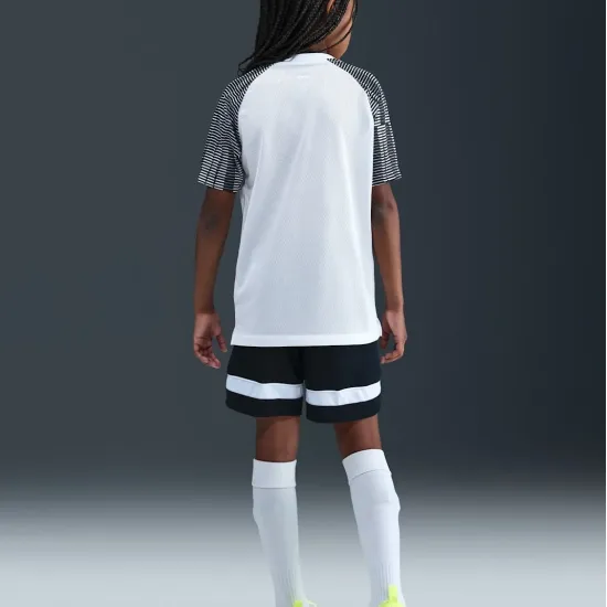 Футболка Nike Dri-FIT Academy DH8369-104