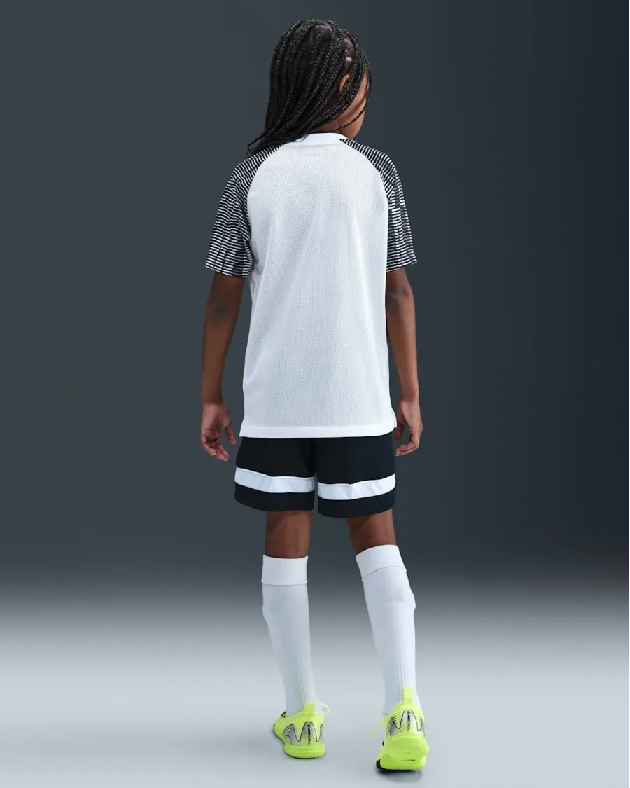 Футболка Nike Dri-FIT Academy DH8369-104