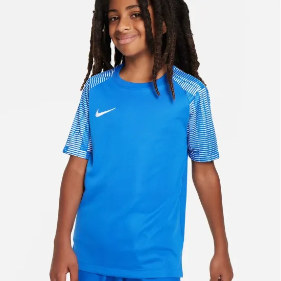 Футболка Nike Dri-FIT Academy DH8369-463