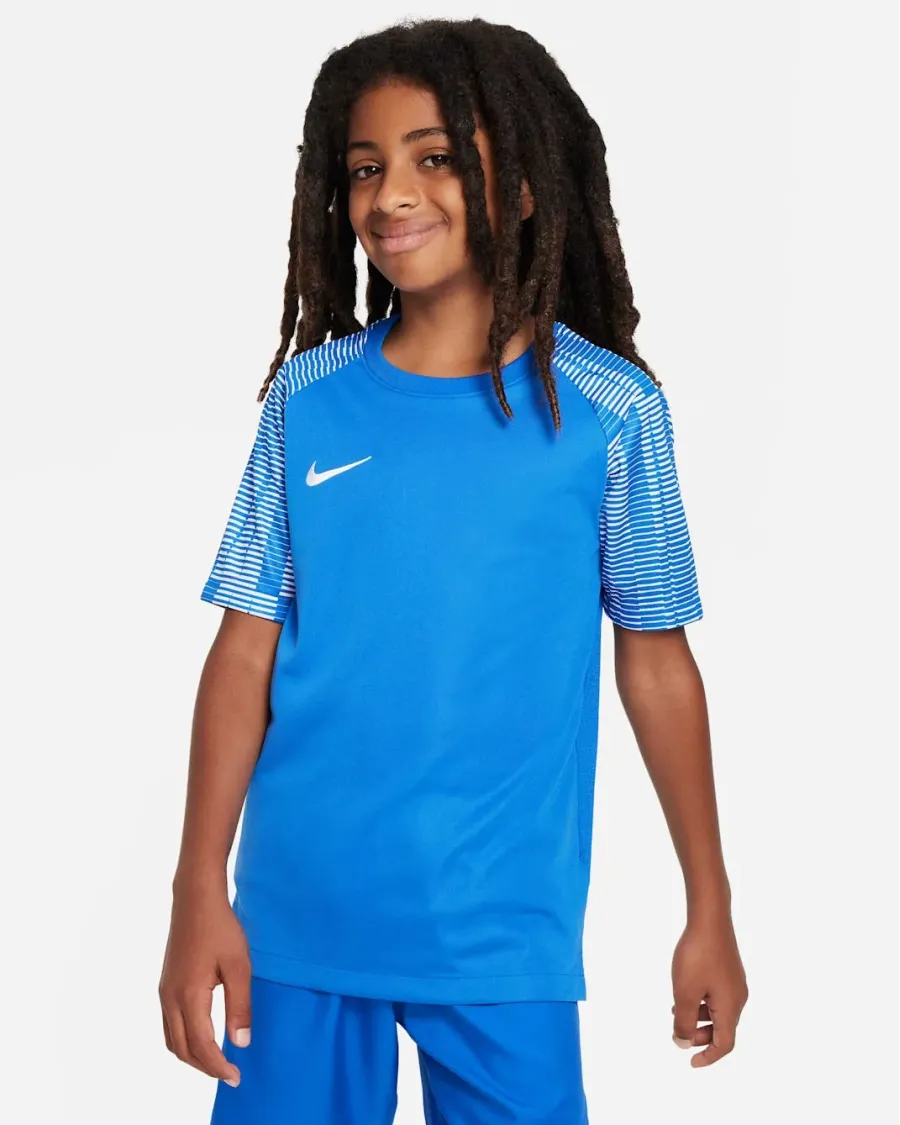 Футболка Nike Dri-FIT Academy DH8369-463