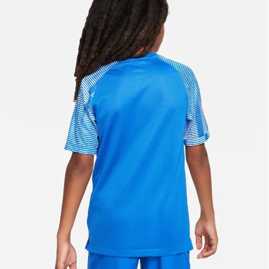 Футболка Nike Dri-FIT Academy DH8369-463