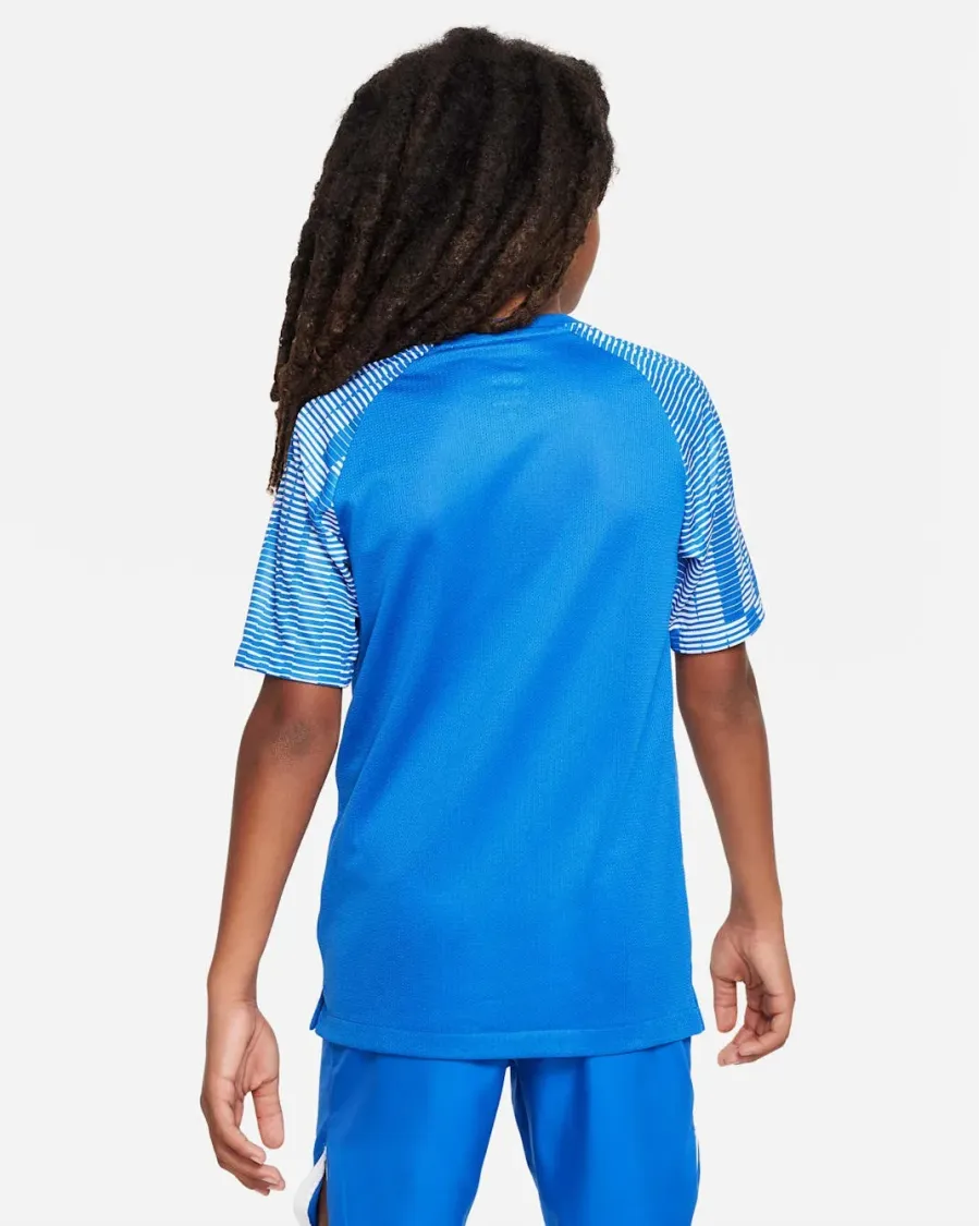 Футболка Nike Dri-FIT Academy DH8369-463