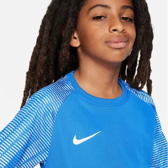 Футболка Nike Dri-FIT Academy DH8369-463