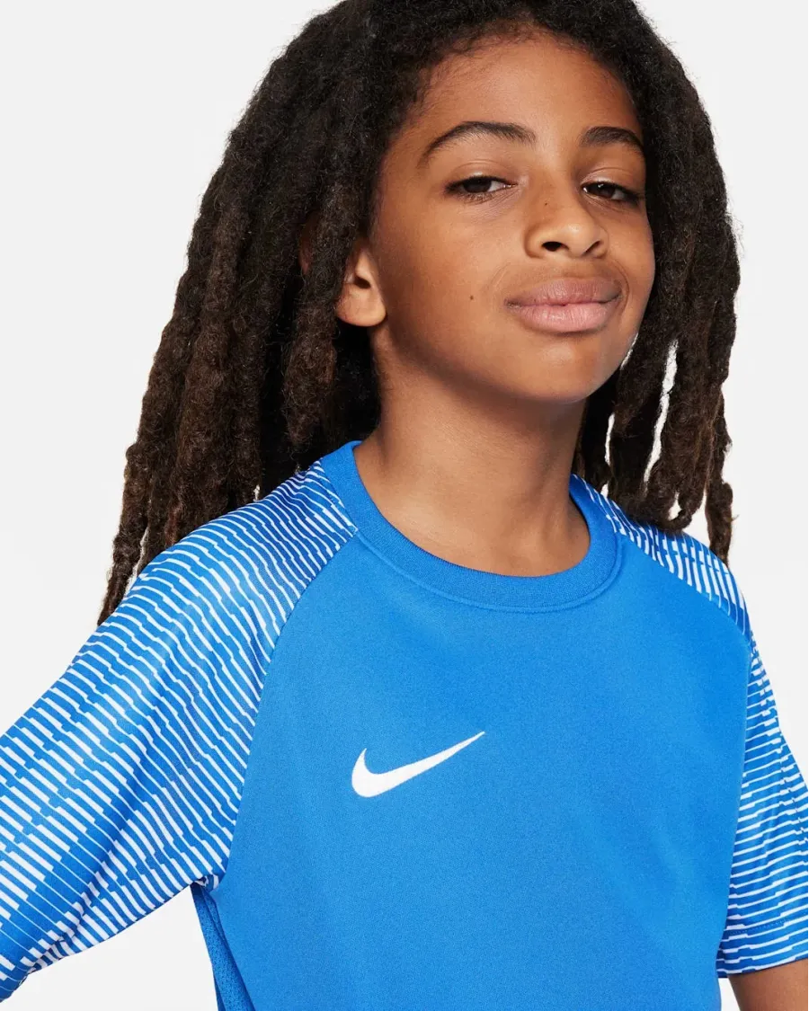 Футболка Nike Dri-FIT Academy DH8369-463