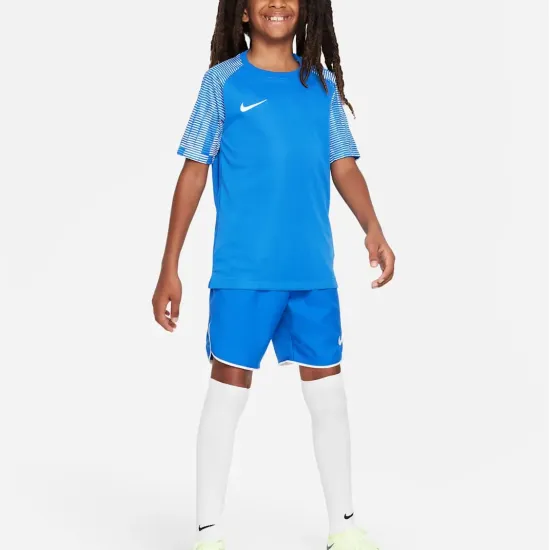 Футболка Nike Dri-FIT Academy DH8369-463