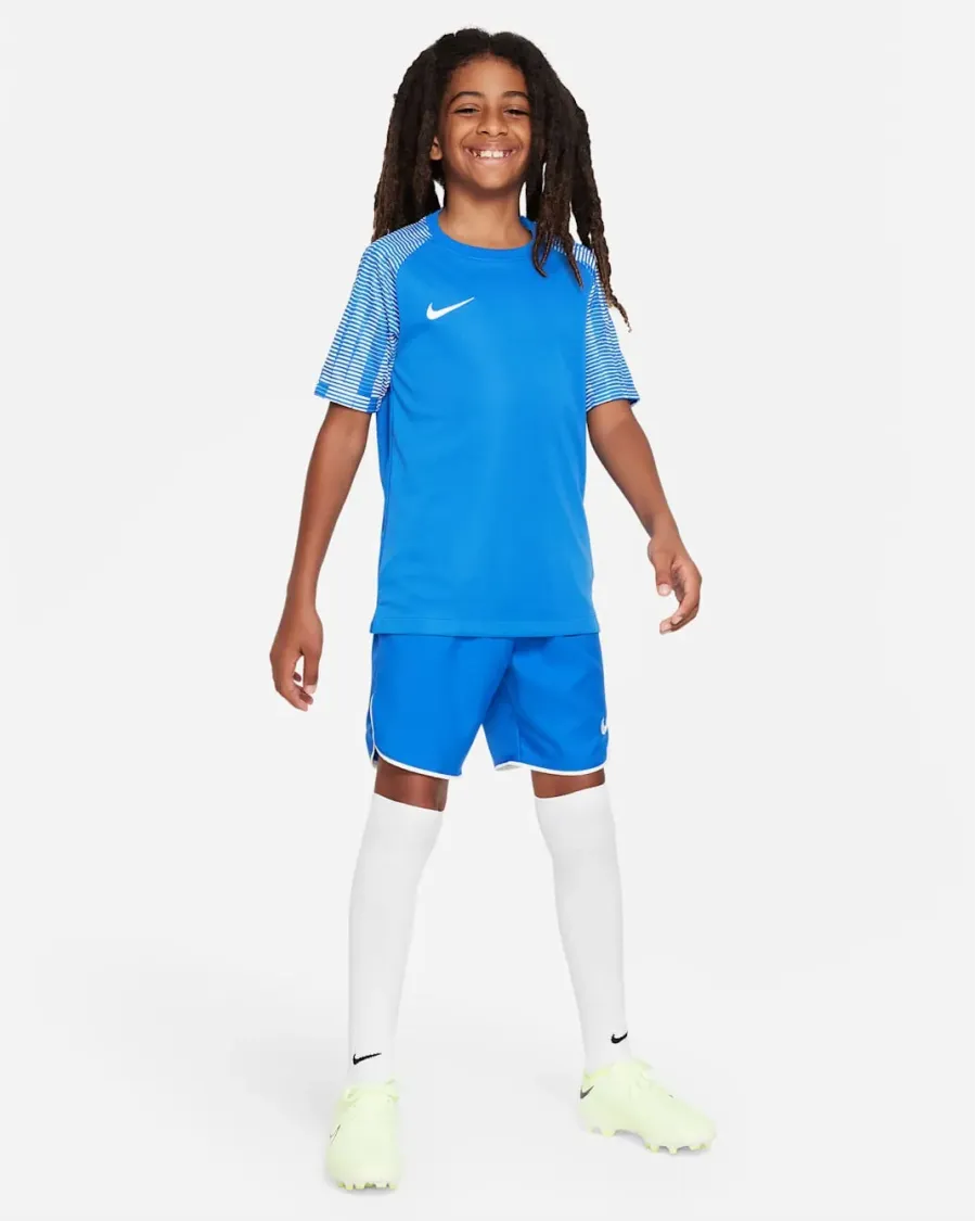 Футболка Nike Dri-FIT Academy DH8369-463