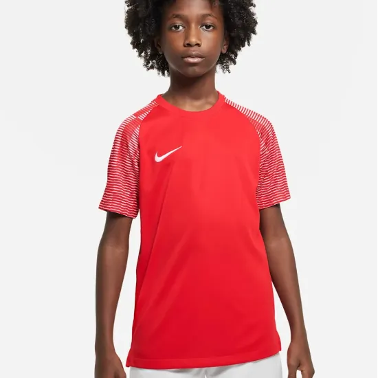 Футболка Nike Dri-FIT Academy DH8369-657