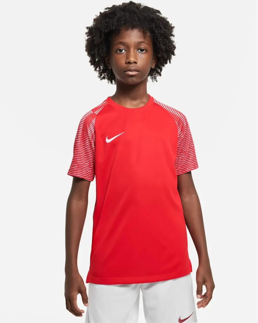 Футболка Nike Dri-FIT Academy DH8369-657