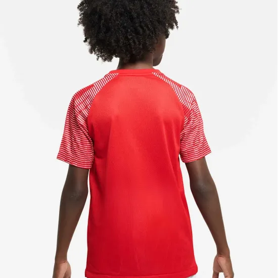 Футболка Nike Dri-FIT Academy DH8369-657