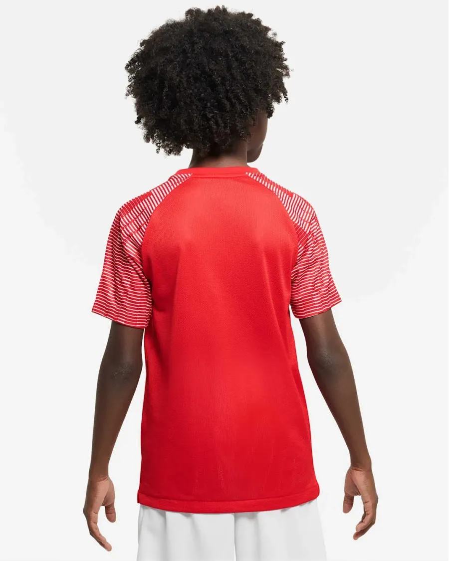 Футболка Nike Dri-FIT Academy DH8369-657