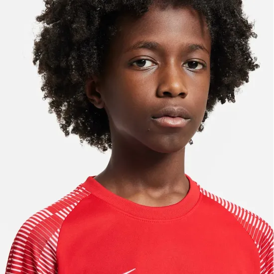 Футболка Nike Dri-FIT Academy DH8369-657