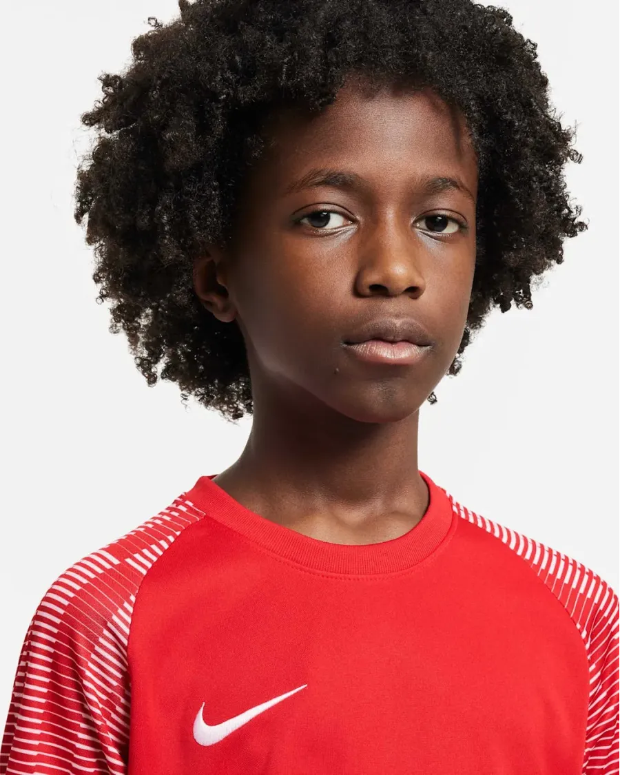 Футболка Nike Dri-FIT Academy DH8369-657