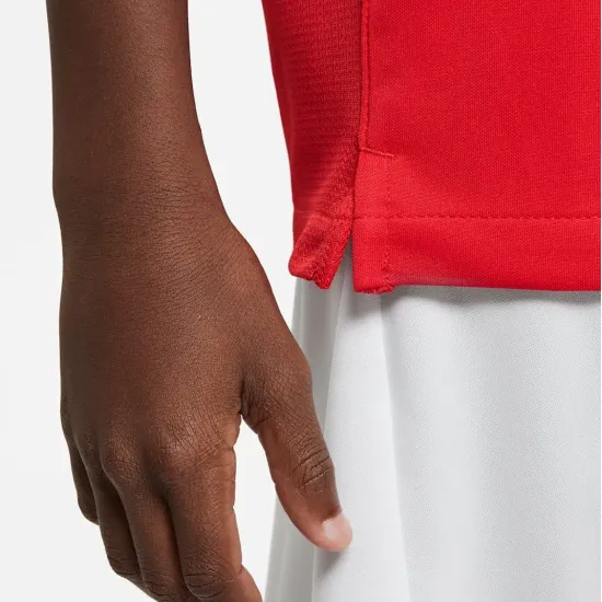 Футболка Nike Dri-FIT Academy DH8369-657