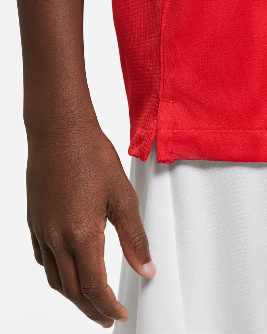 Футболка Nike Dri-FIT Academy DH8369-657