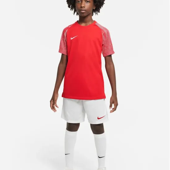Футболка Nike Dri-FIT Academy DH8369-657