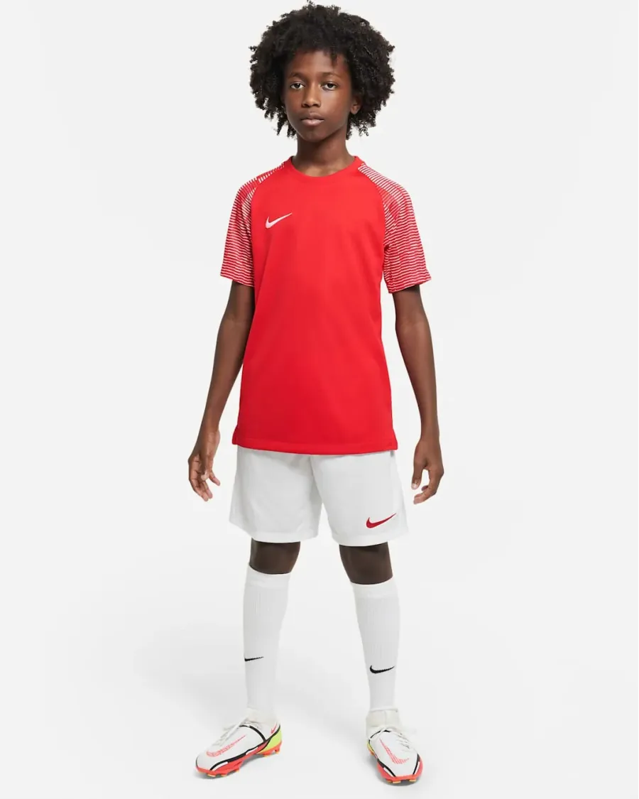 Футболка Nike Dri-FIT Academy DH8369-657