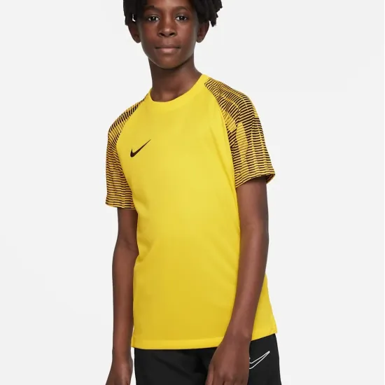 Футболка Nike Dri-FIT Academy DH8369-719