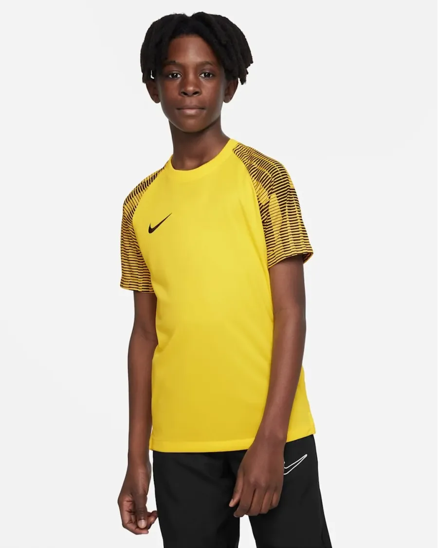 Футболка Nike Dri-FIT Academy DH8369-719