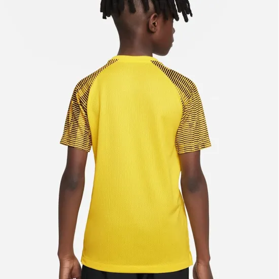 Футболка Nike Dri-FIT Academy DH8369-719
