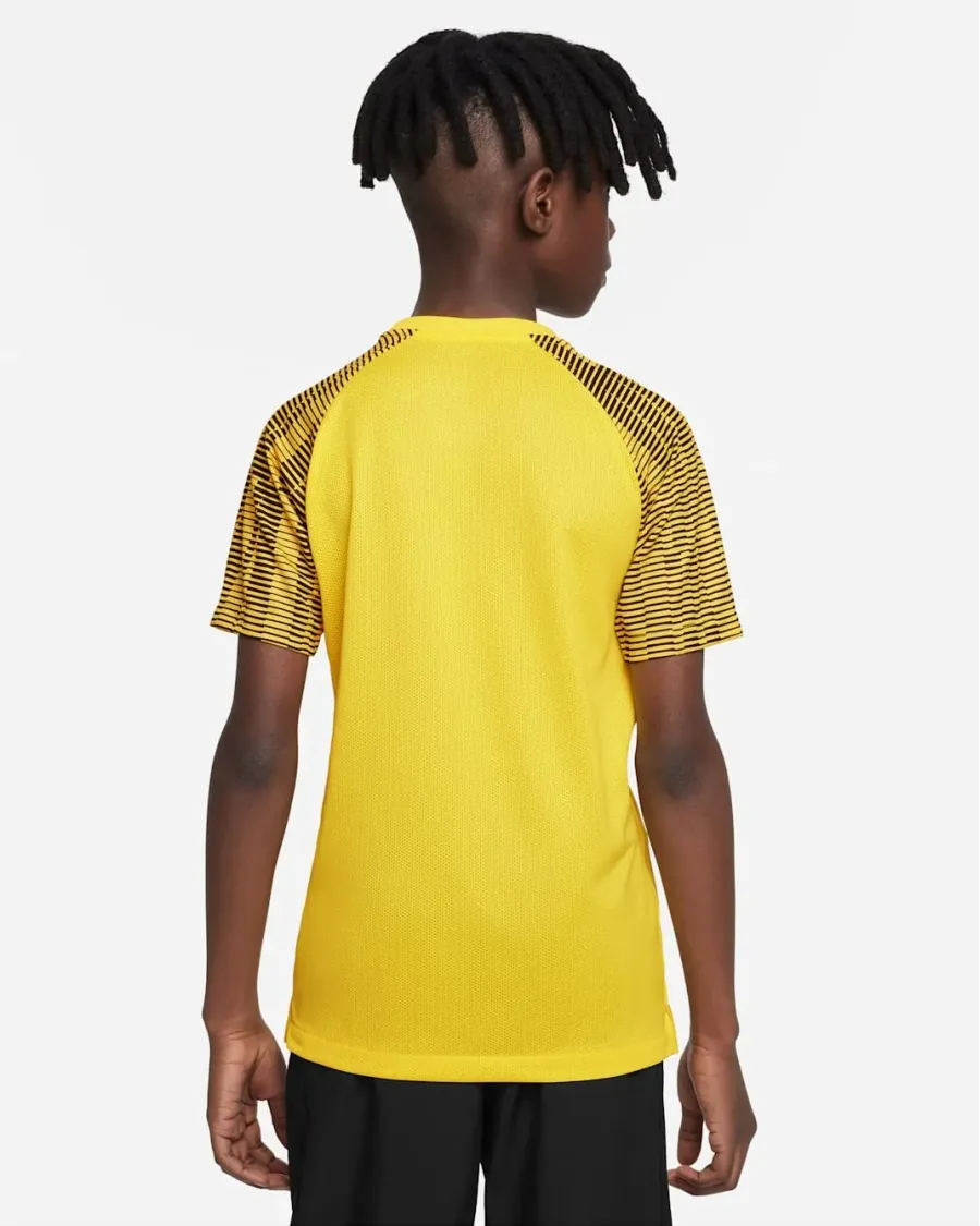 Футболка Nike Dri-FIT Academy DH8369-719
