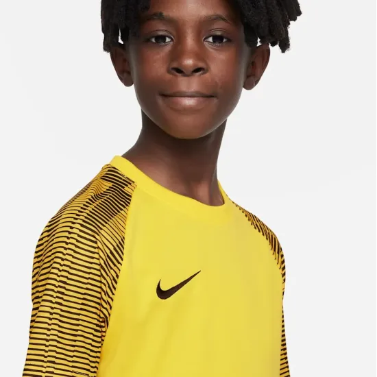 Футболка Nike Dri-FIT Academy DH8369-719