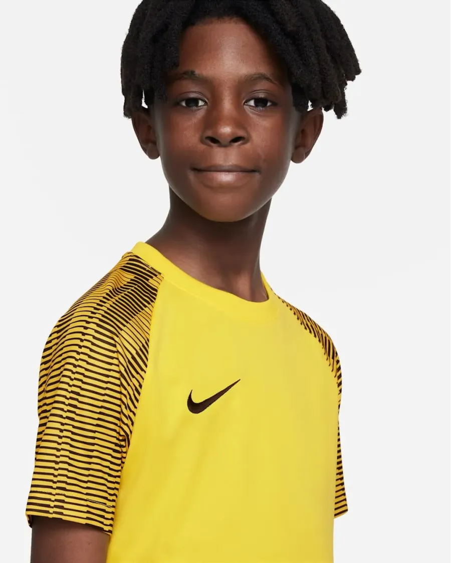 Футболка Nike Dri-FIT Academy DH8369-719