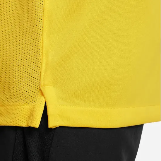 Футболка Nike Dri-FIT Academy DH8369-719