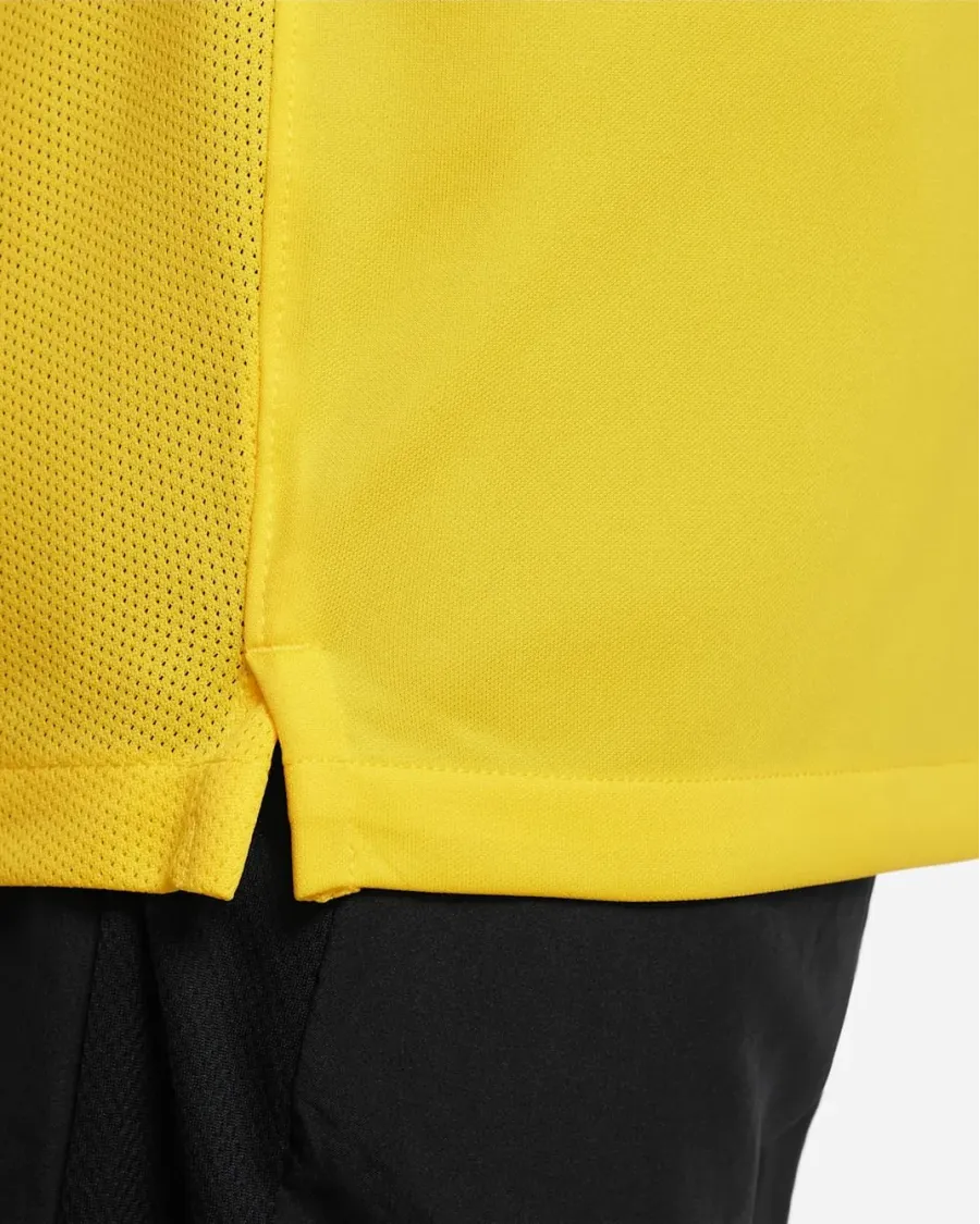Футболка Nike Dri-FIT Academy DH8369-719