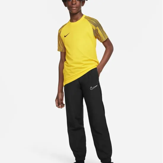 Футболка Nike Dri-FIT Academy DH8369-719