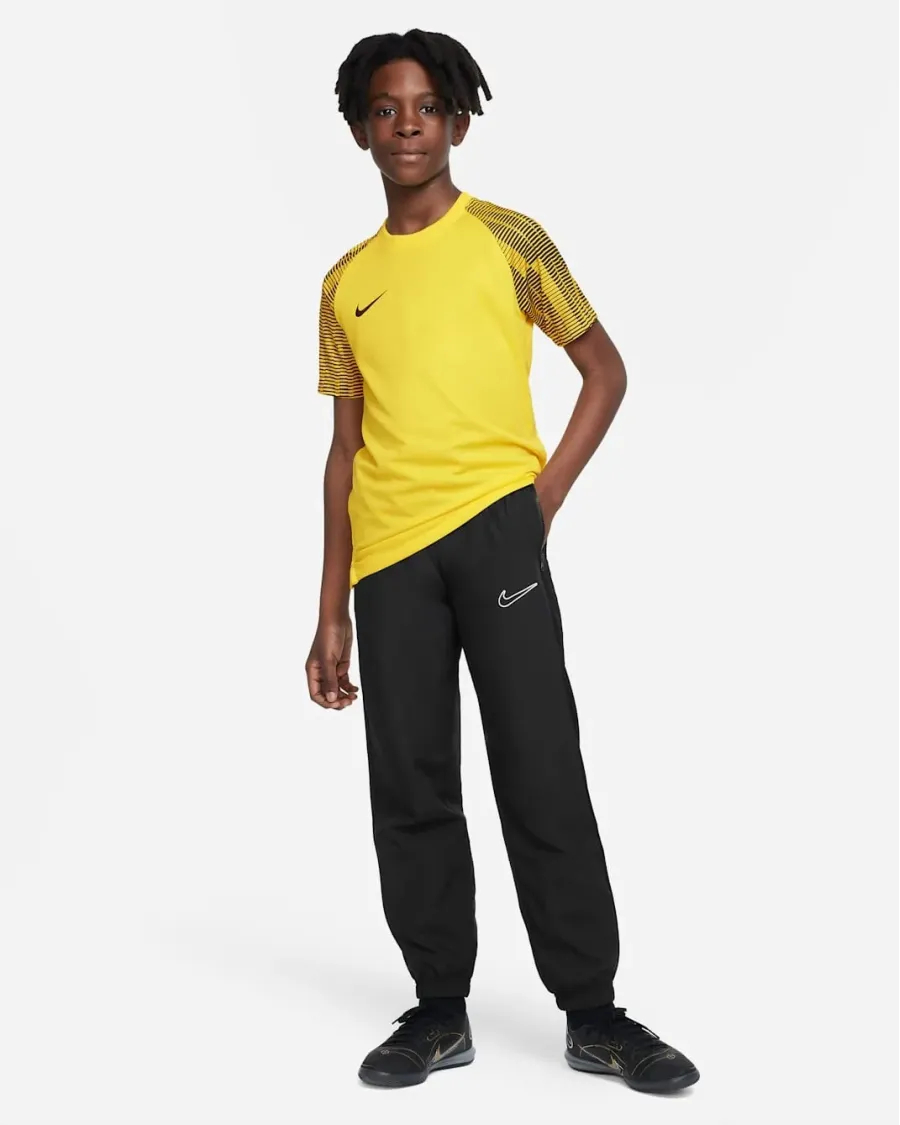 Футболка Nike Dri-FIT Academy DH8369-719