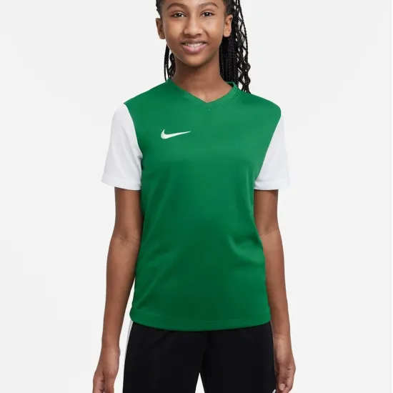 Футболка Nike Dri-FIT Tiempo Premier II DH8389-302