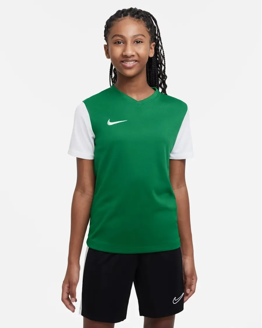 Футболка Nike Dri-FIT Tiempo Premier II DH8389-302